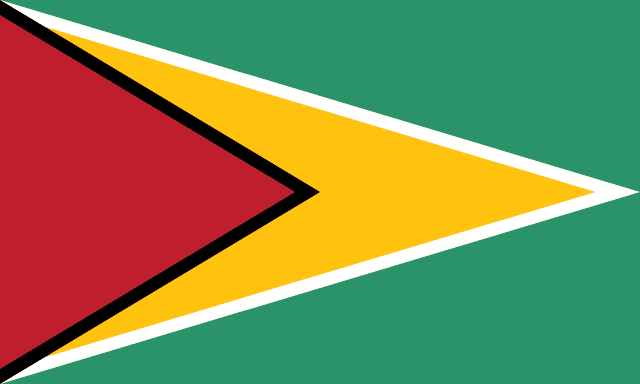 圭亚那国旗